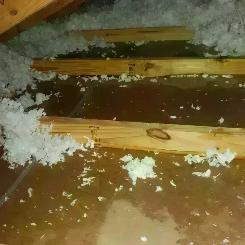 Attic Water Damage in Burnham, ME